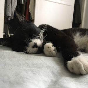 Meet your Posher, Madeleine